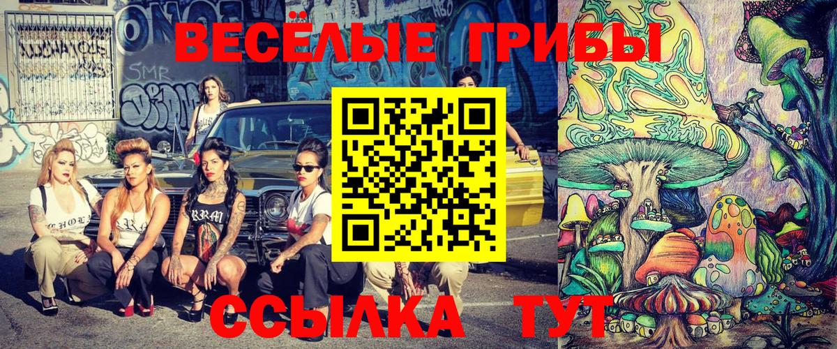 Галлюциногенные грибы прущие грибы Гусиноозёрск